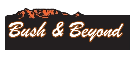 Website Design, Web Hosting, Banners, business cards, flyers, Email setup